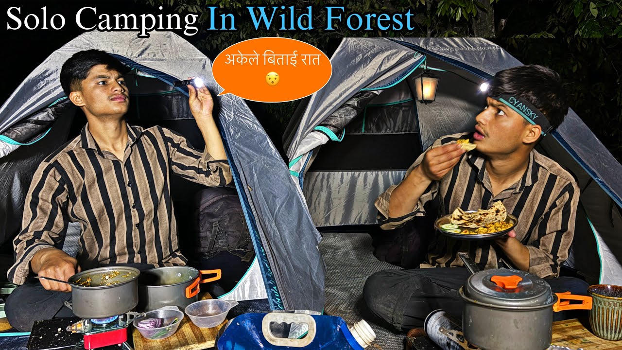 Solo Night Camping In Uttarakhand Forest | Camping Alone In Wild Forest | Camping In India