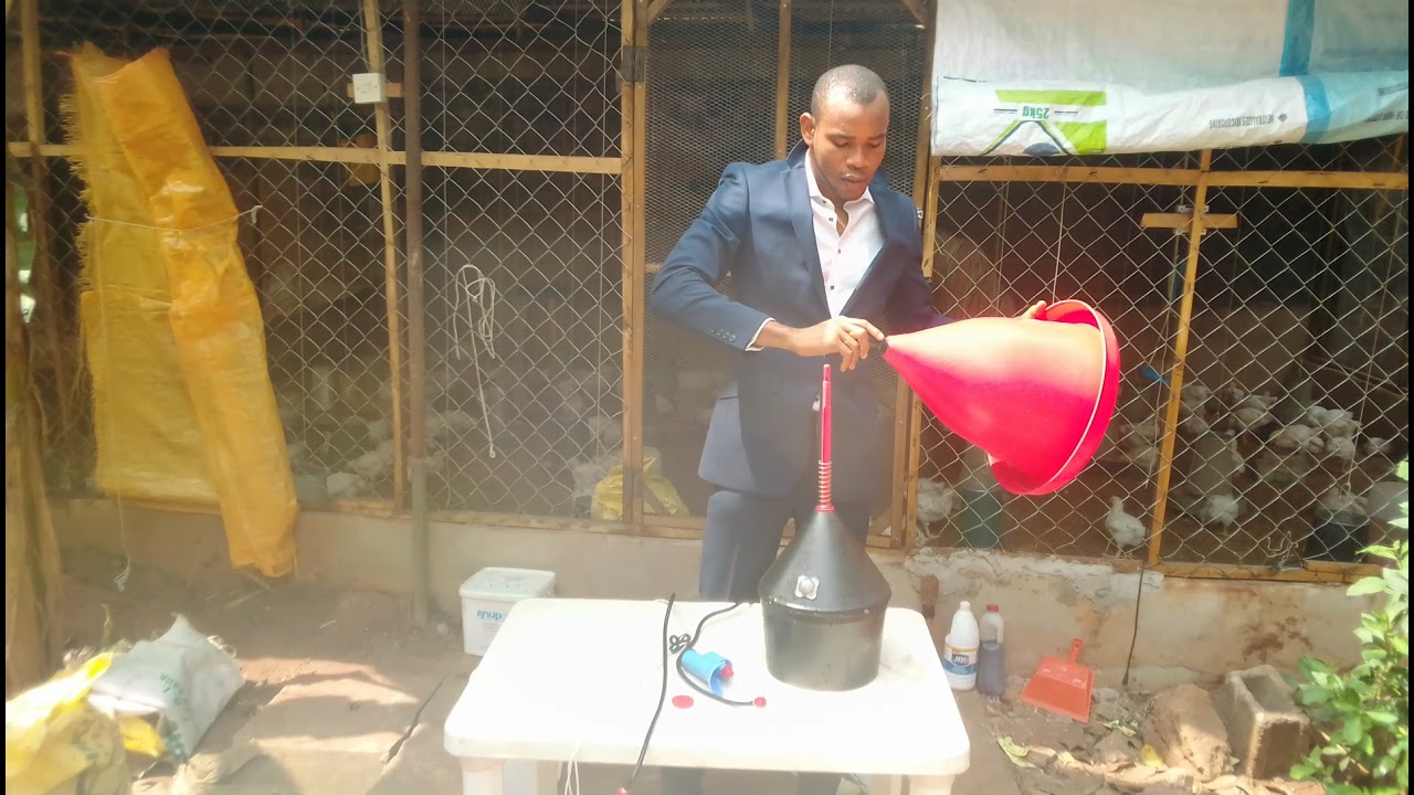 Automatic drinker for chicken: How to fix/couple automatic drinker