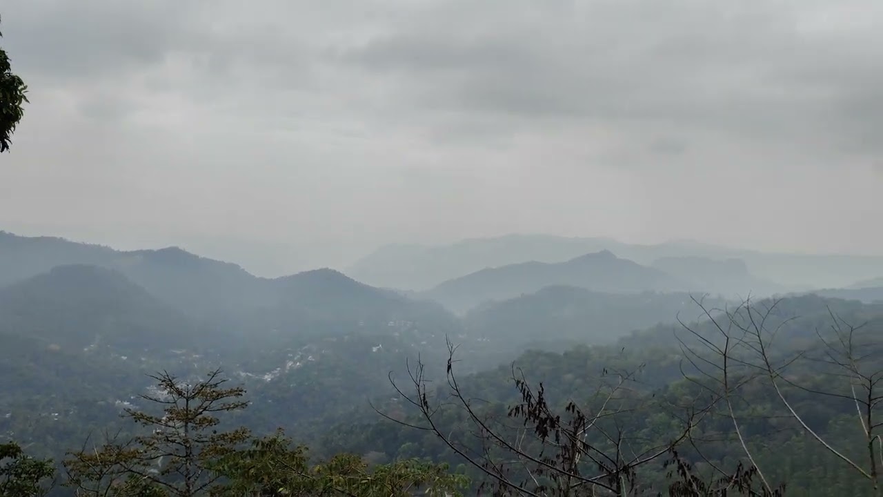 Munnar scenic view