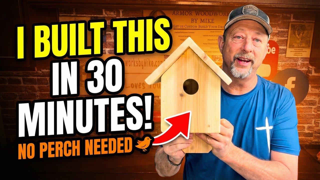 Easy Birdhouse Build Anyone Can Make (And Why There’s No Perch)