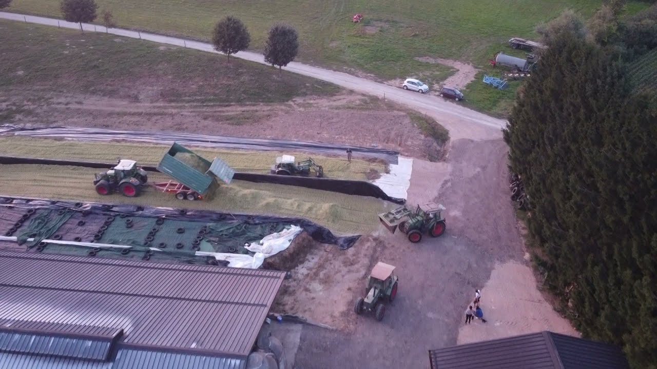 CORN SILAGE ON FARM PUHEK | 2021 | Fendt + McCormick + Farmtech + Mengele + Fliegl + Claas + Kemper