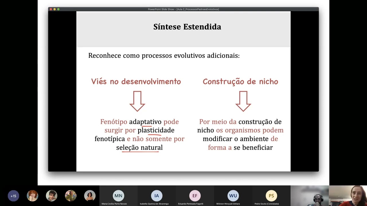 Enc 8 Síntese Estendida parte II