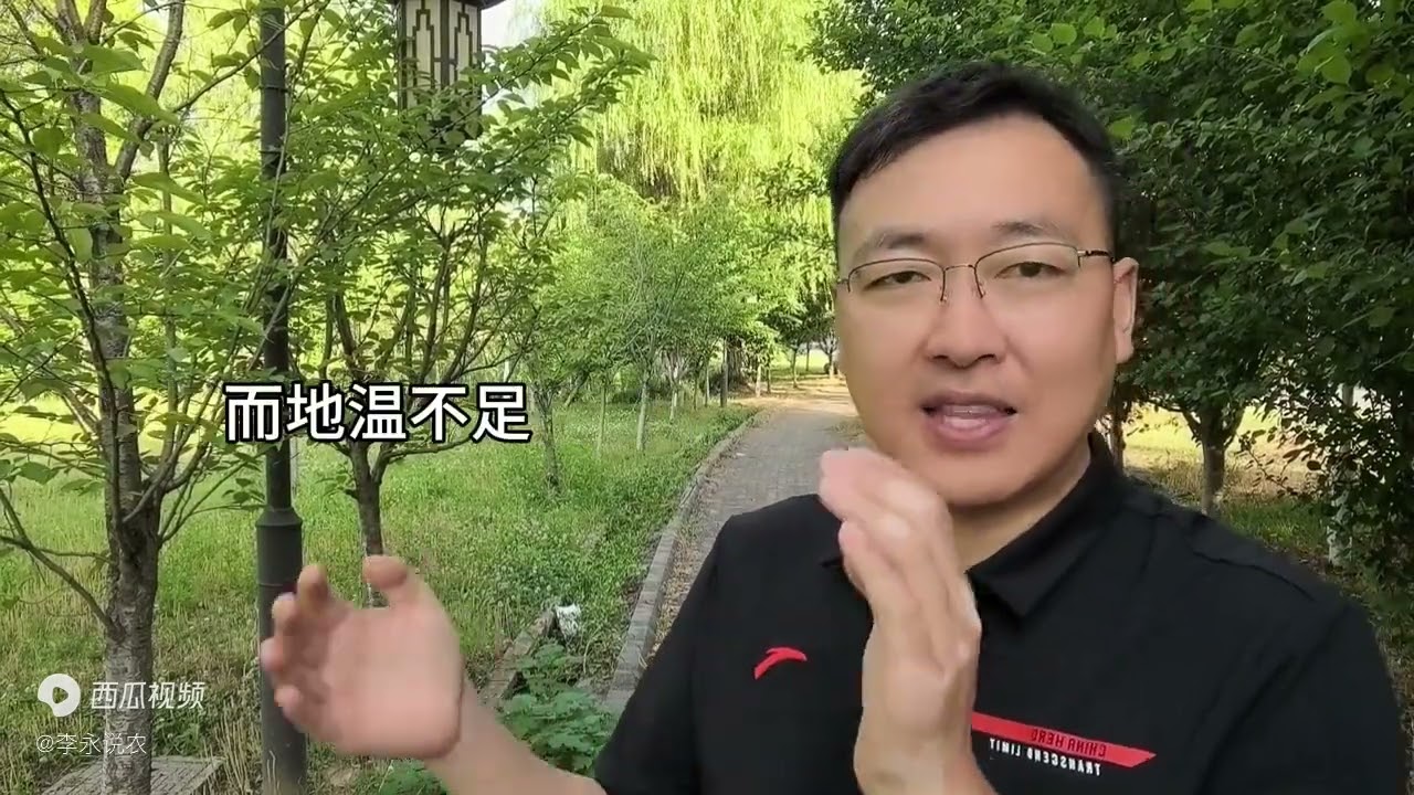 植物养根生根很简单，一般根系障碍都是人为导致的。