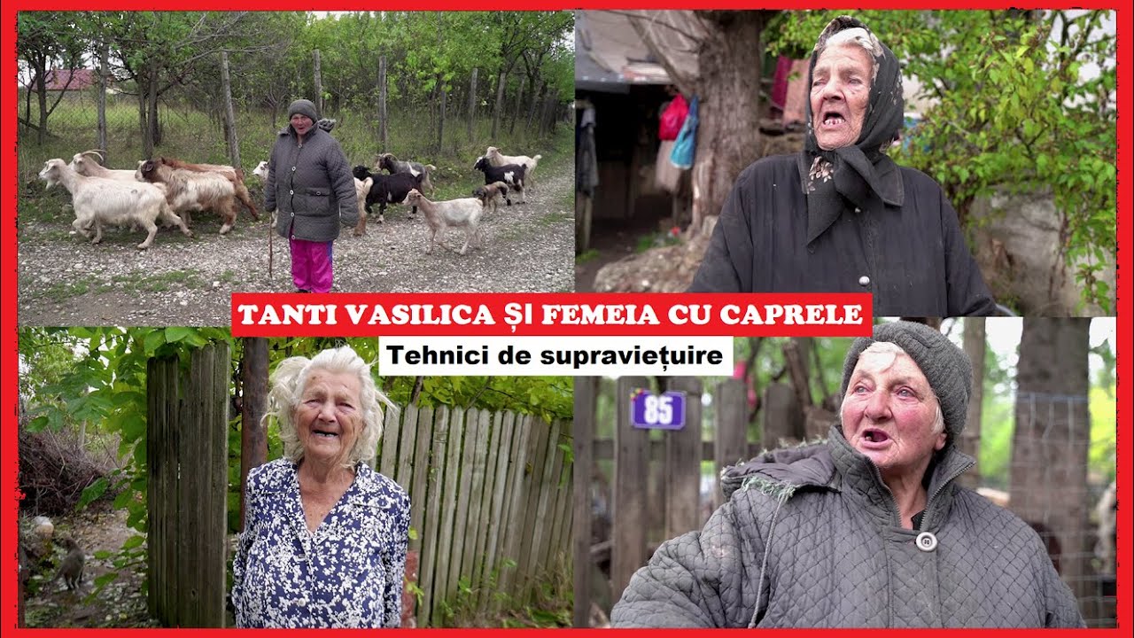 Tanti VASILICA și Femeia cu caprele! | Tehnici de SUPRAVIEȚUIRE | Bătrâni uitați și ADEVĂRURI dure