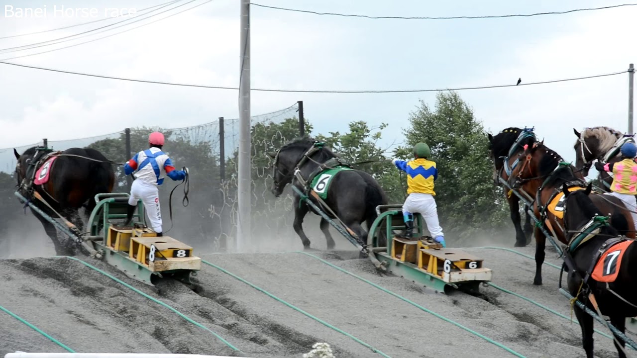 [Banei Horse race] Obihiro Hokkaido Japan 2017 ばんえい競馬 帯広競馬場 2017