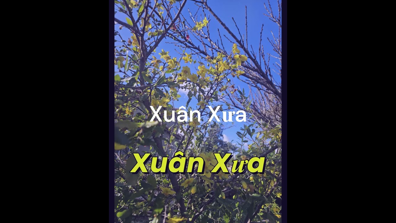 Suno phổ nhạc từ  bài thơ   --- Xuân Xưa