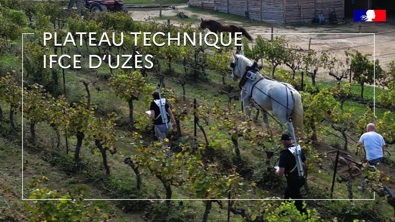 Le plateau technique d'Uzès : au service de l’attelage, la traction animale et l’endurance.
