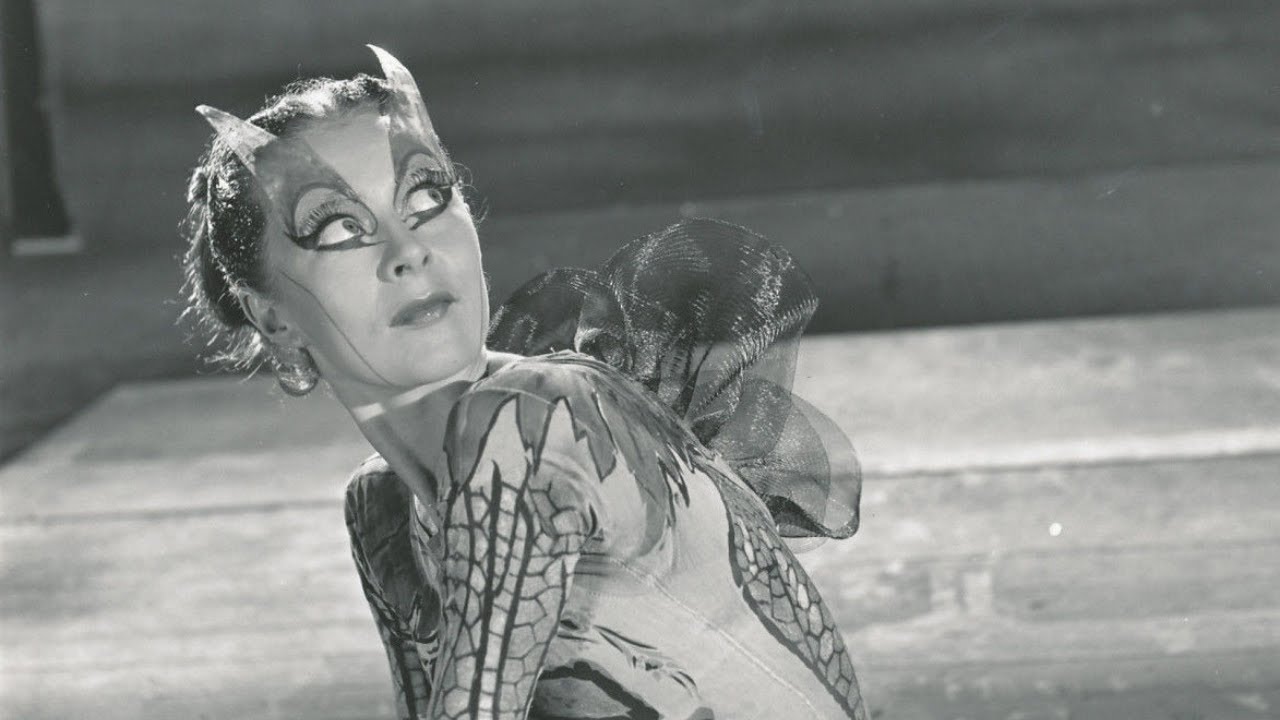 The Enchanted Dragonfly Ballet