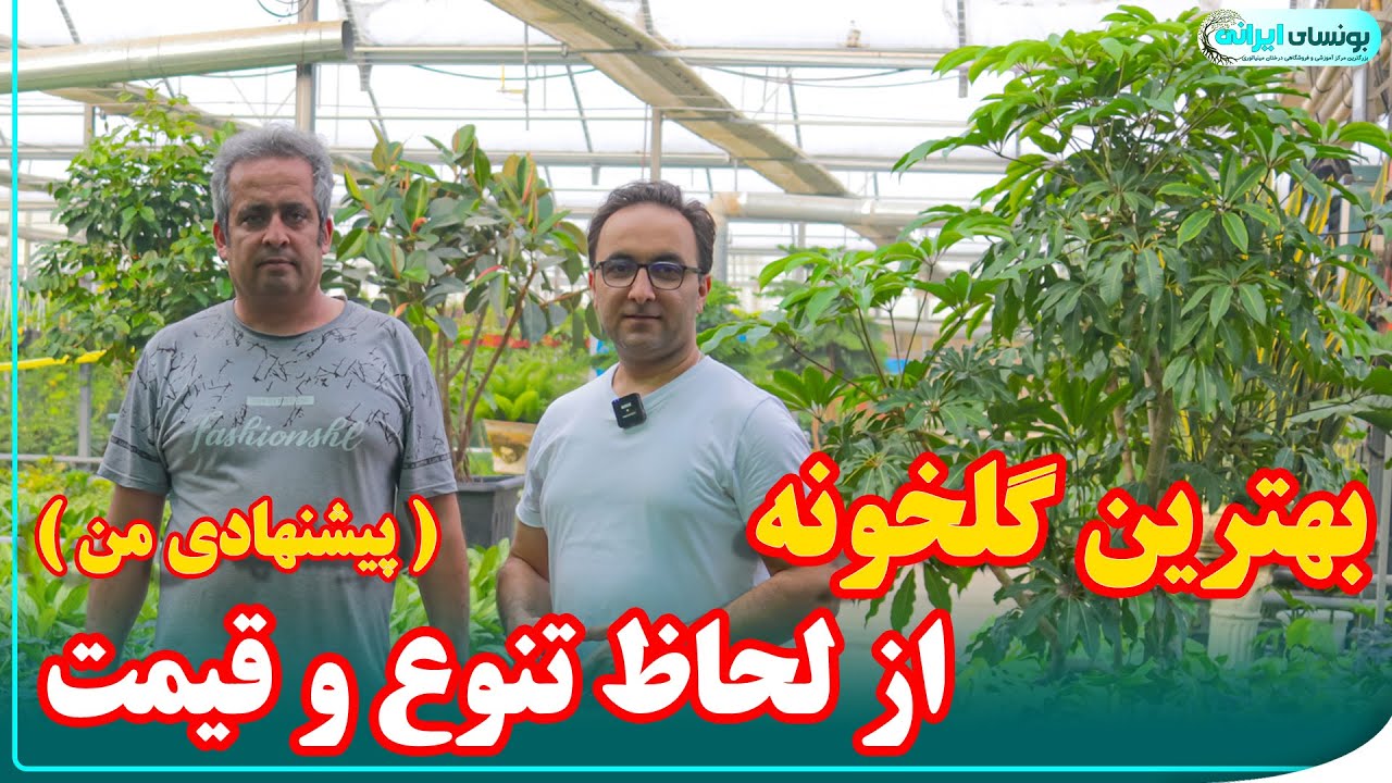 بهترین گلخونه برای خرید گیاهان آپارتمانی | تنوع بالا و قیمت ارزان