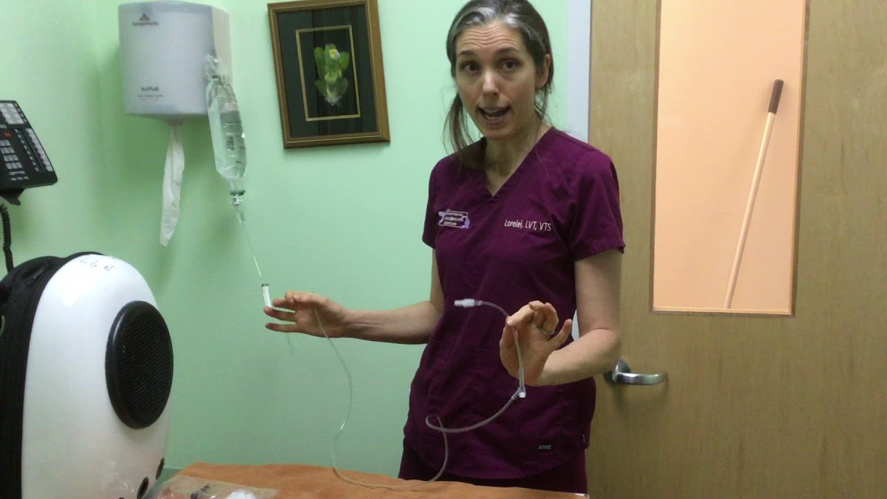 Subcutaneous fluids for rabbits