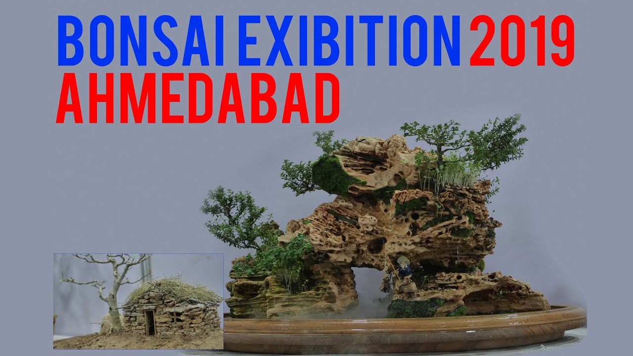 Ahmedabad Bonsai Exhibition 2019 Visit By Bijal Patel Ahmedabad Mayor | Exclusive Video