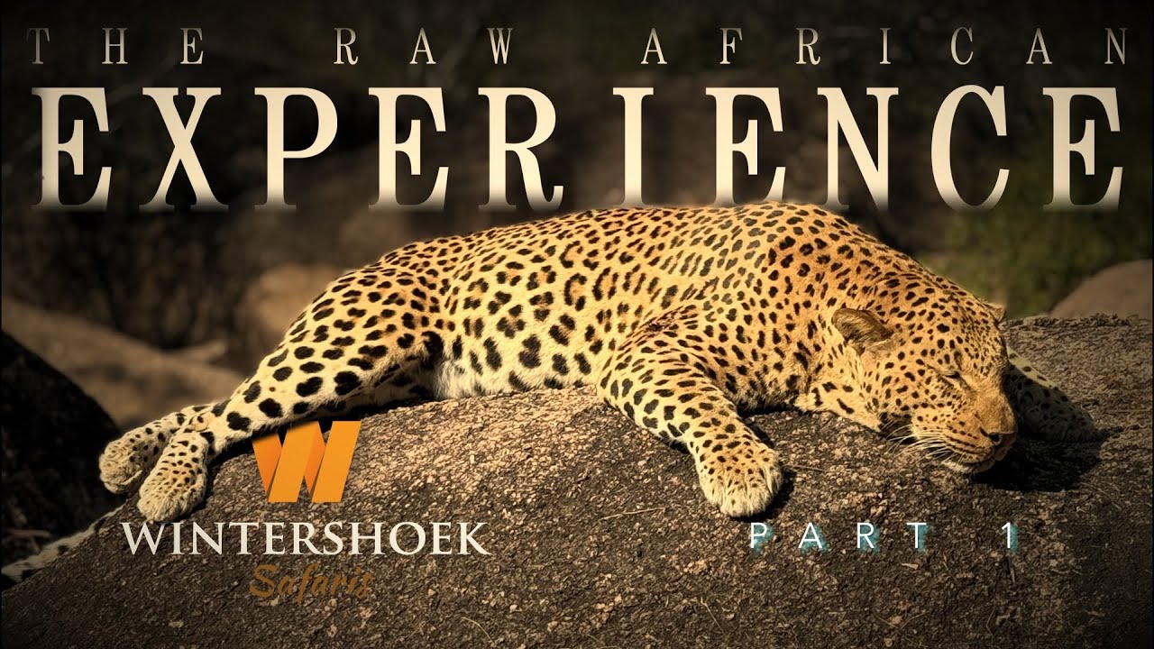 Leopard Hunting In Zambia | Jason Part 1 | Wintershoek Safaris