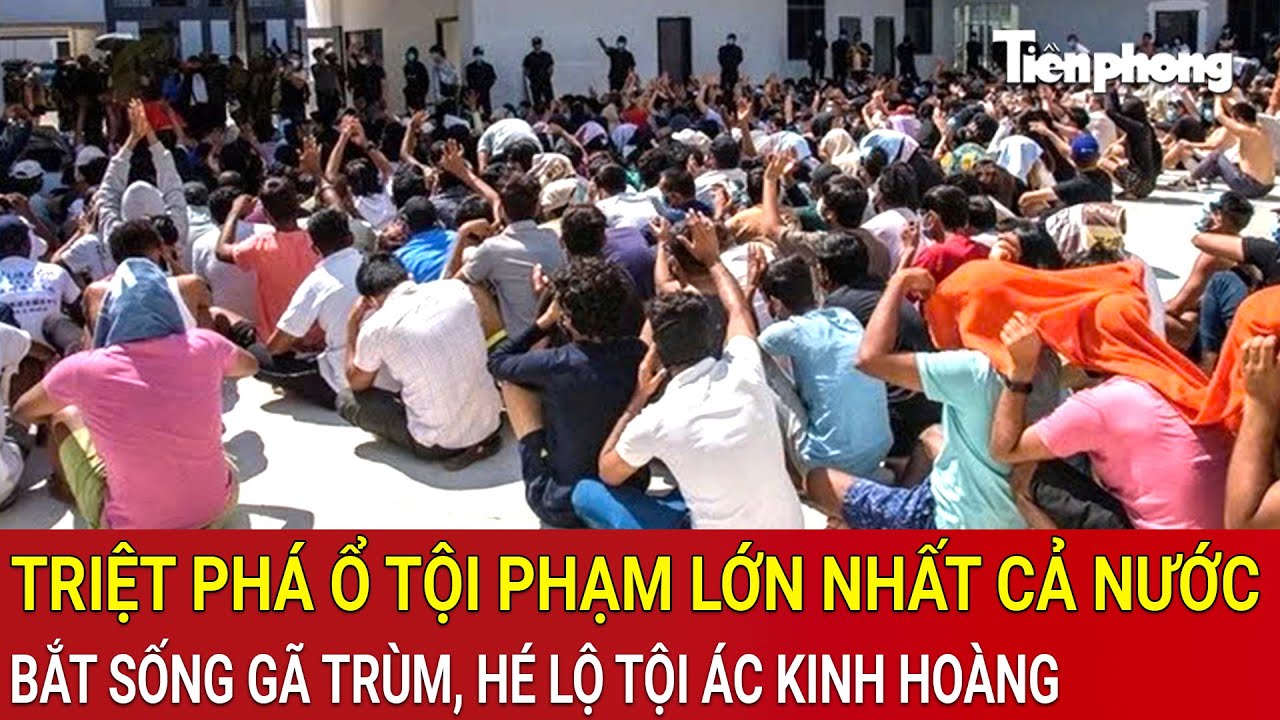 Thời sự nóng: Triệt phá ổ tội phạm lớn nhất cả nước, bắt sống gã trùm, hé lộ tội ác kinh hoàng