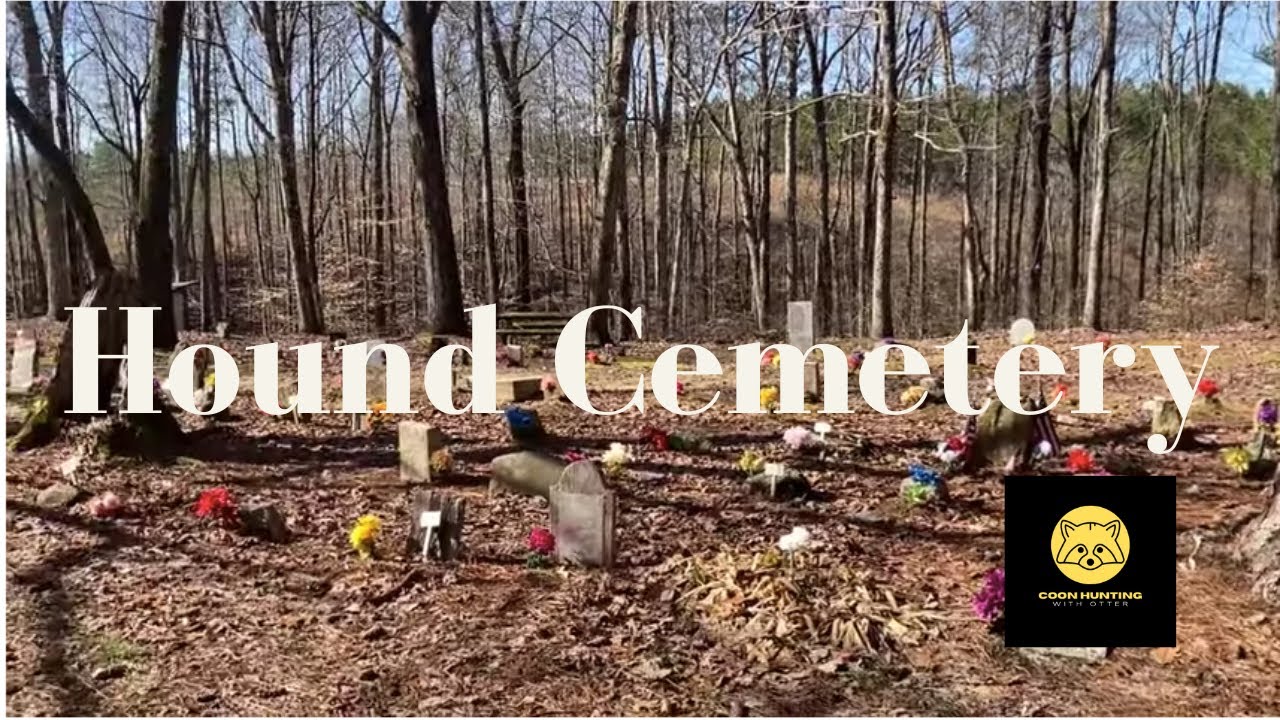 Day Trip to COON DOG CEMETERY the only cemetery of it’s kind #hunting #coonhunting #coonhound