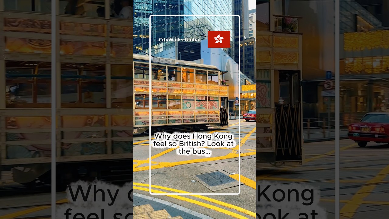 Bus Ride in Hong Kong Feels Like Therapy 