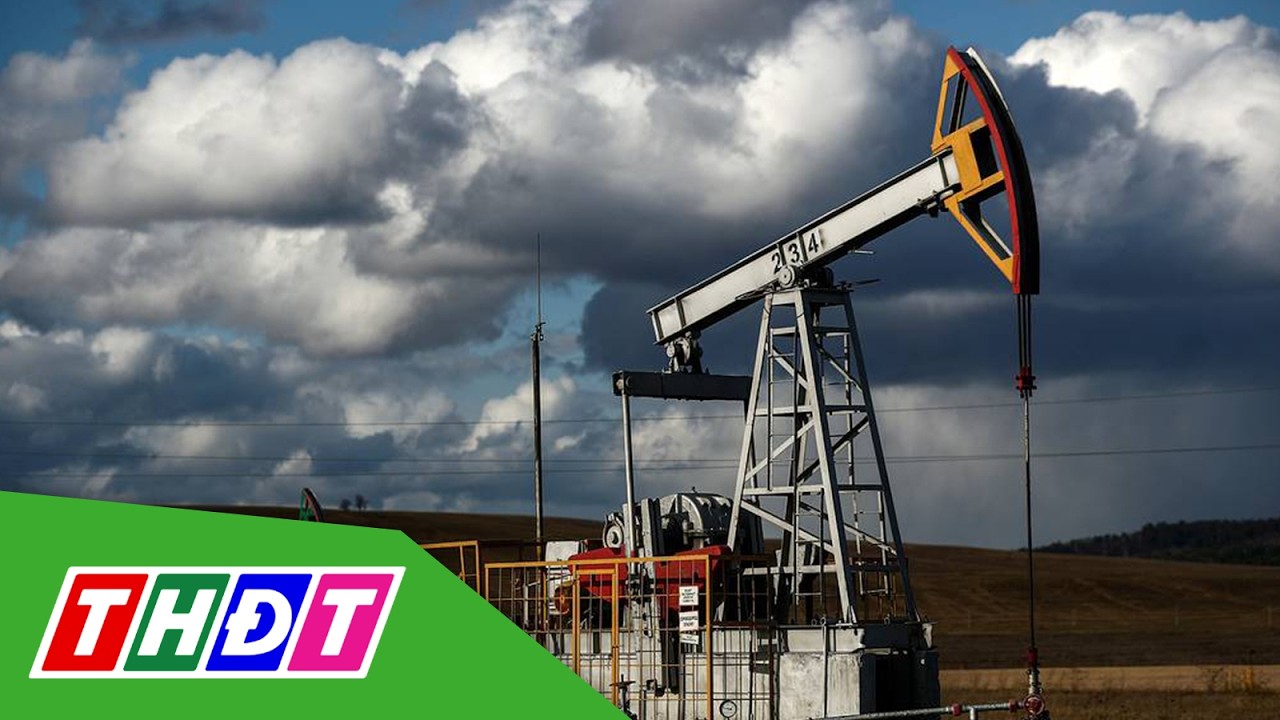 EU sẽ ngừng hoàn toàn nhập khẩu năng lượng từ Nga | THDT