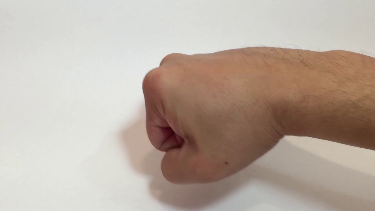 Martial Arts- The Fist, Man's Original Weapon