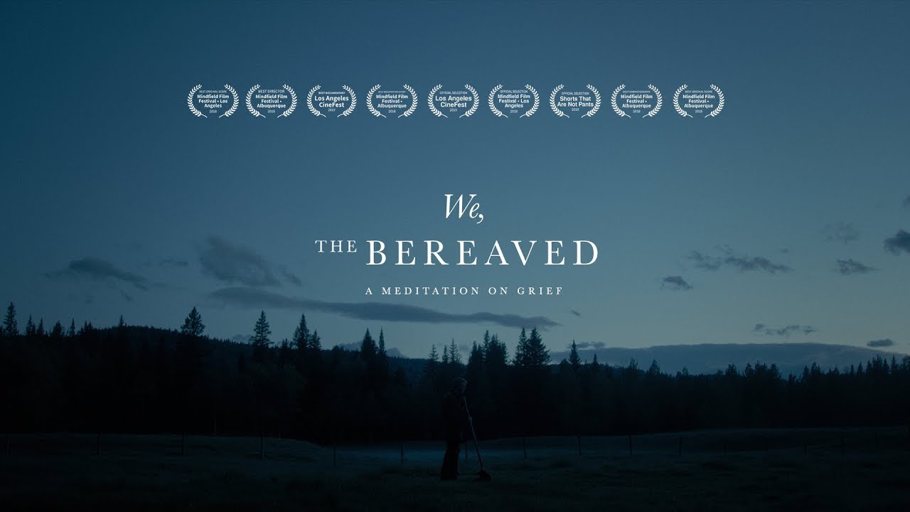 My, kteř&iacute; jsme zůstali // Meditace o z&aacute;rmutku