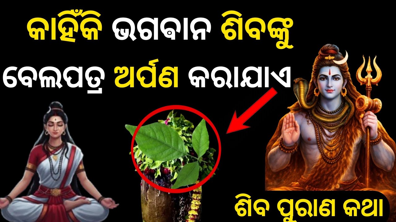 ବେଲପତ୍ରର ଜନ୍ମ କାହାଣୀ | କାହିଁକି ଶିବଙ୍କୁ ବେଲପତ୍ର ଅତି ପ୍ରିୟ? @Prakashgyantv 