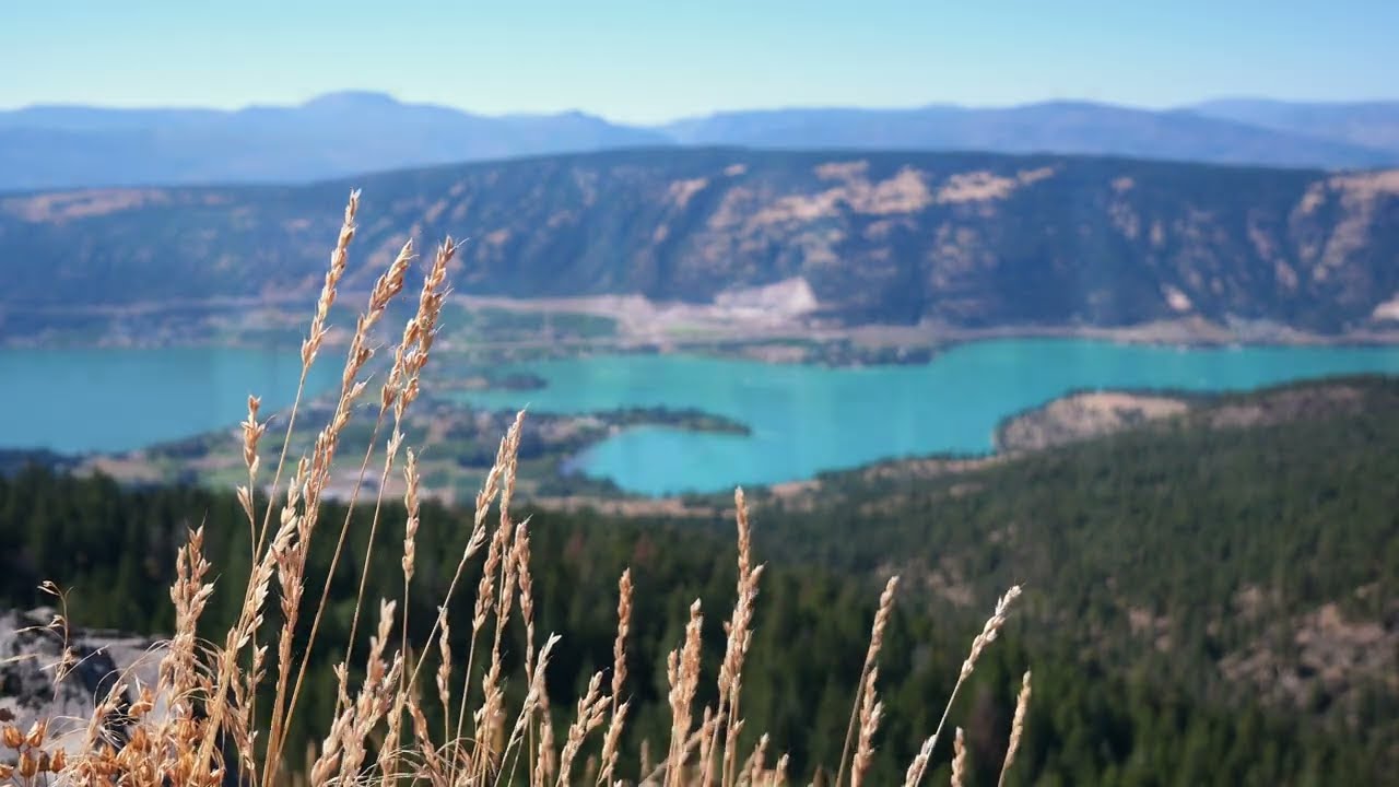 Oyama Lake & Lookout