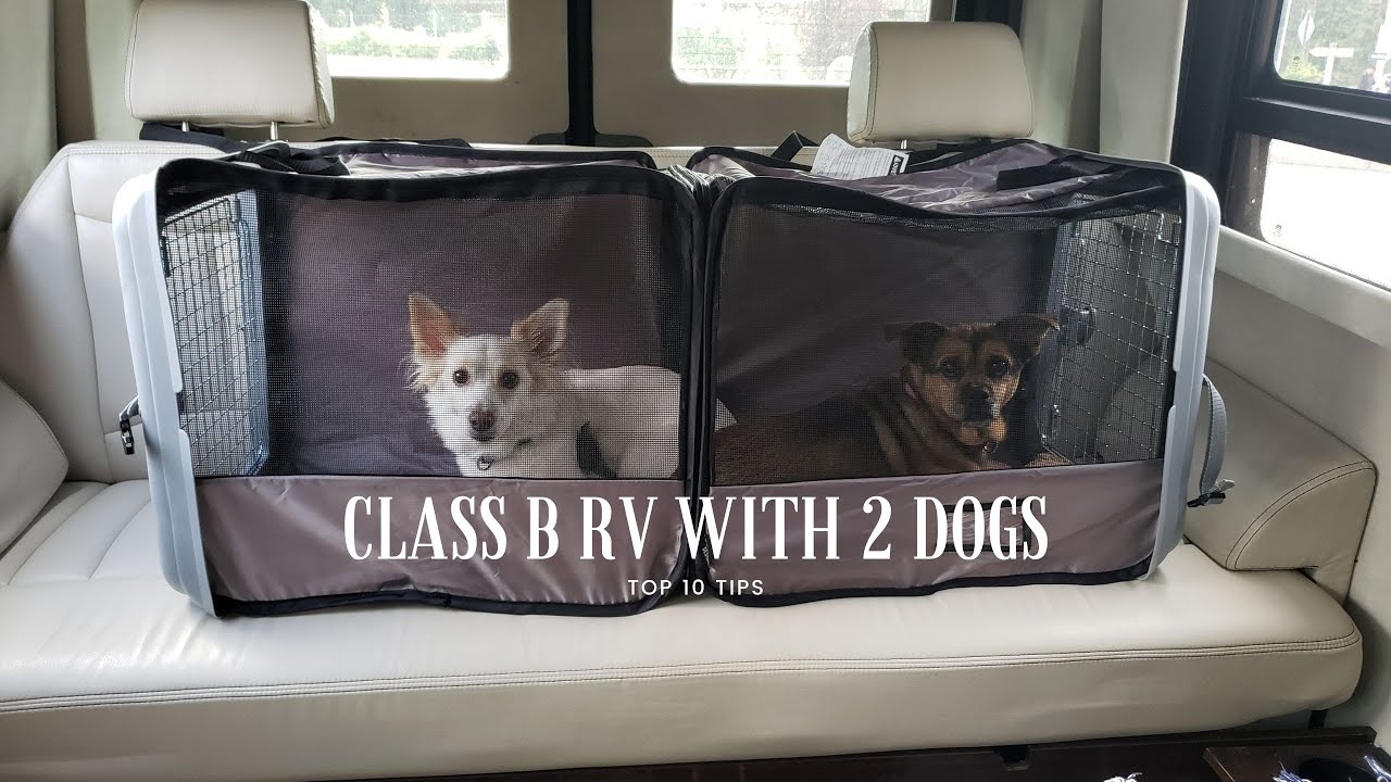 Class B RV with 2 Dogs - Top 10 Tips