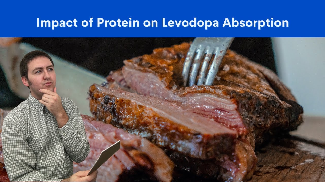 The Impact of Protein on Levodopa Absorption