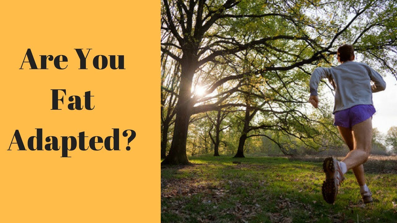 Maffetone Method: Are You Fat Adapted?