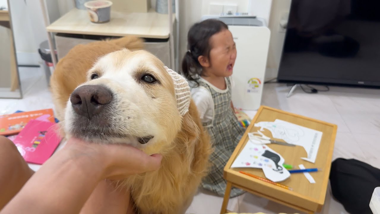 우리개는 안물어요 근데 꼬리로 때려요…ㅋㅋㅋ