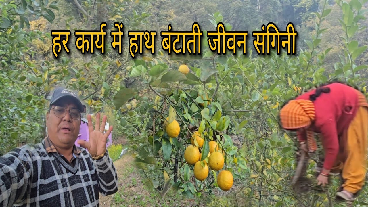 खेती के लिए करनी पडती है काफी मेहनत/#arvind_shukla_kedarnath #khetibadi #bibiki mehnat #Agricalture 