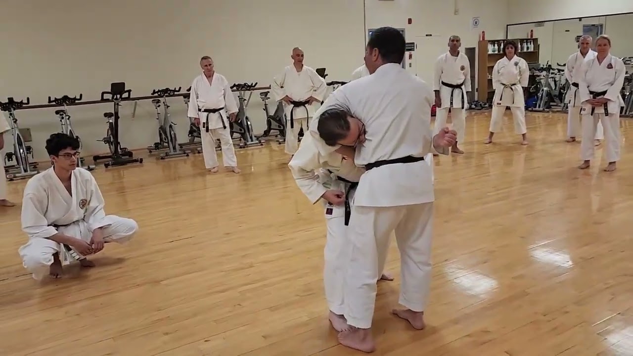 Séminaire S.Langley & G. Brodeur 7-8 nov. St-Hyacinthe, Canada 2025