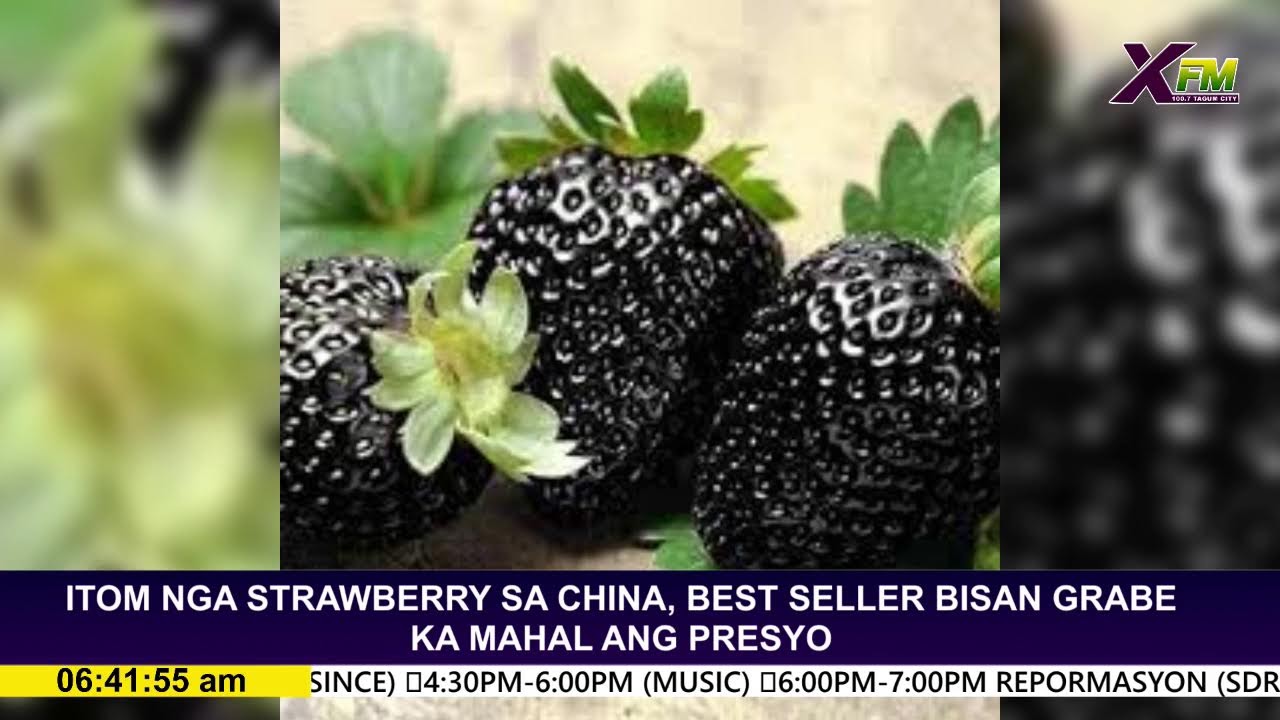 BULLSEYE | January 30, 2026 with Katropang Arnel Cortez