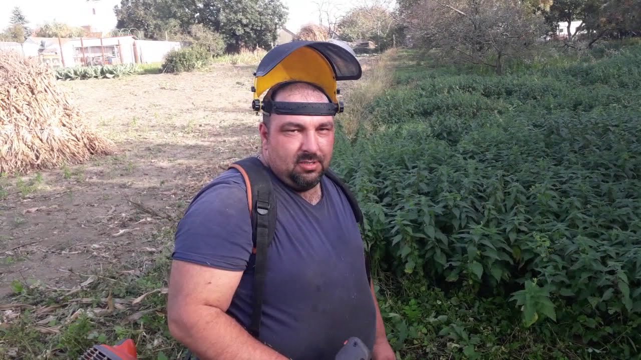 Fűkaszálás/Kipróbáltuk a láncosfejet..