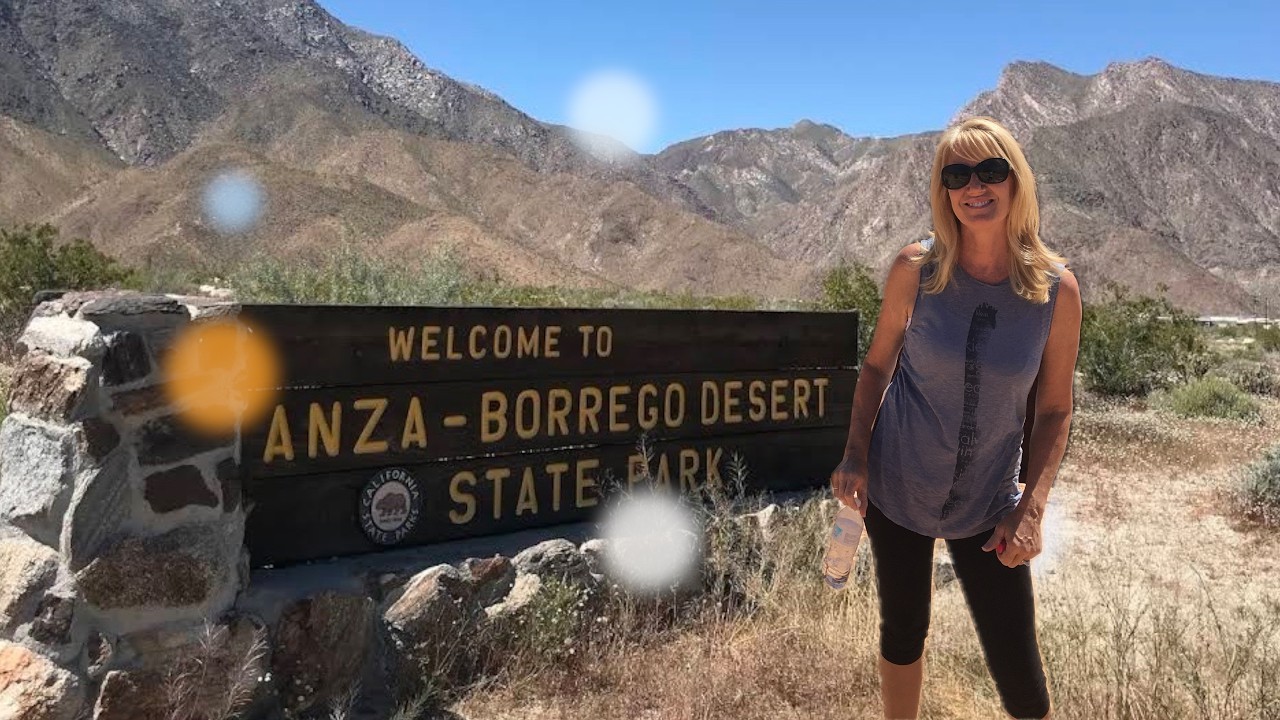 Bighorn Sheep & Hidden Oasis — Exploring Anza Borrego State Park
