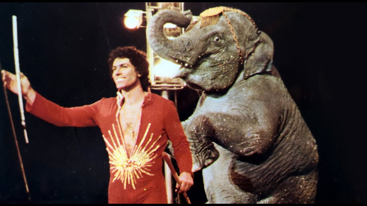 Gli elefanti di Amedeo Folco - Cirkus Merano (1982)