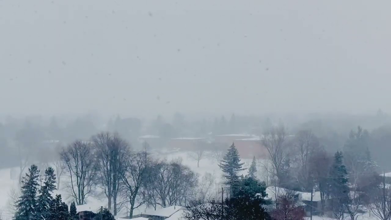 1 Hour Snowfall Ambience | Cozy Winter Relaxation