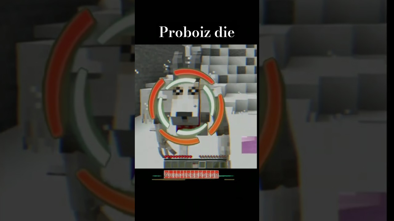 BEST PROBOIZ FUNNY MOMENTS 🤣