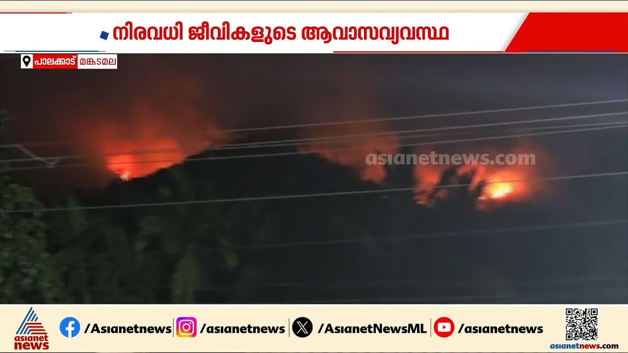 പാലക്കാട് മണ്ണാർക്കാട് മങ്കട മലയിൽ തീപിടുത്തം; വനം വകുപ്പ് മലയ്ക്ക് മുകളിലേക്ക് കയറുന്നു|Mankas mala