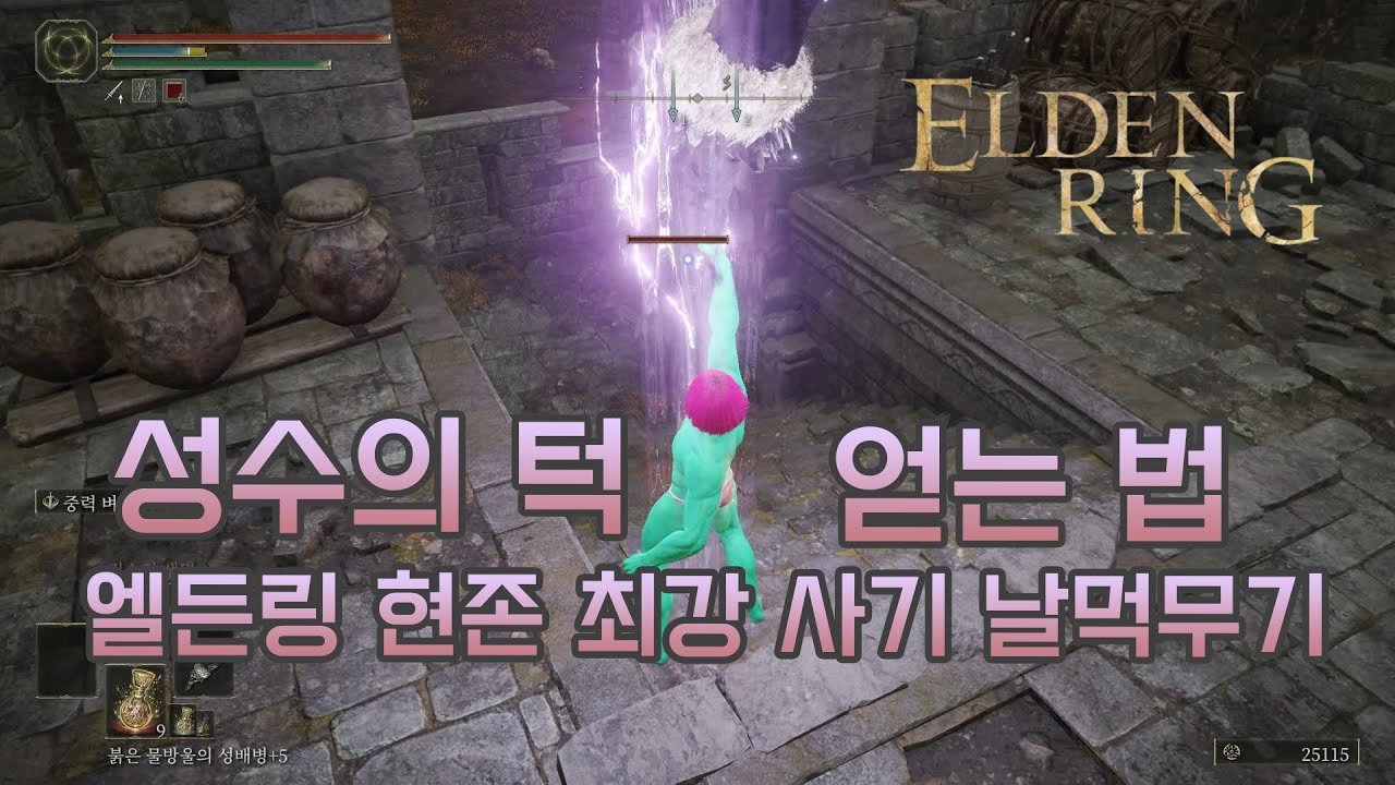 엘든링 각종 너프 이후 떡상한 1티어 무기 