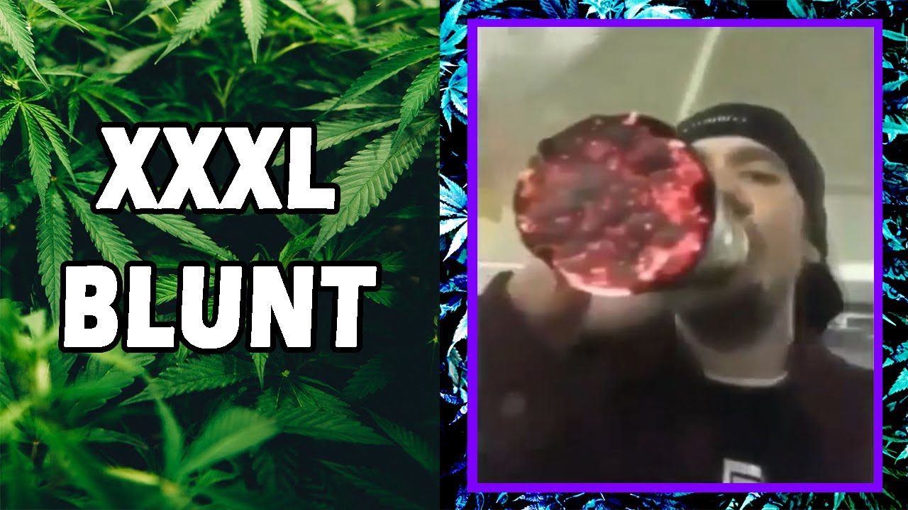 WEED MEMES & Fail Compilation [#31] - Fatally Stoned