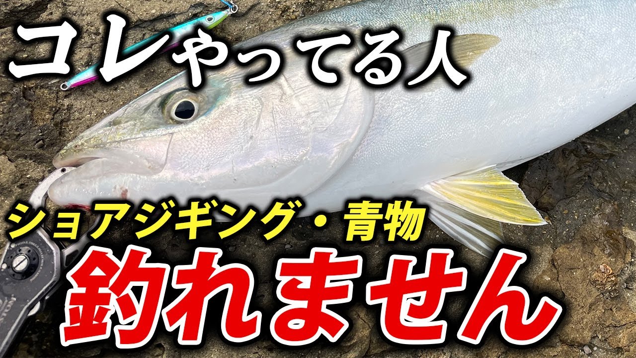 【永久保存版】コレをやってるとショアジギングは釣れない。誰も教えてくれない圧倒的に釣れるようになるためのルアー選び・釣り方の極意
