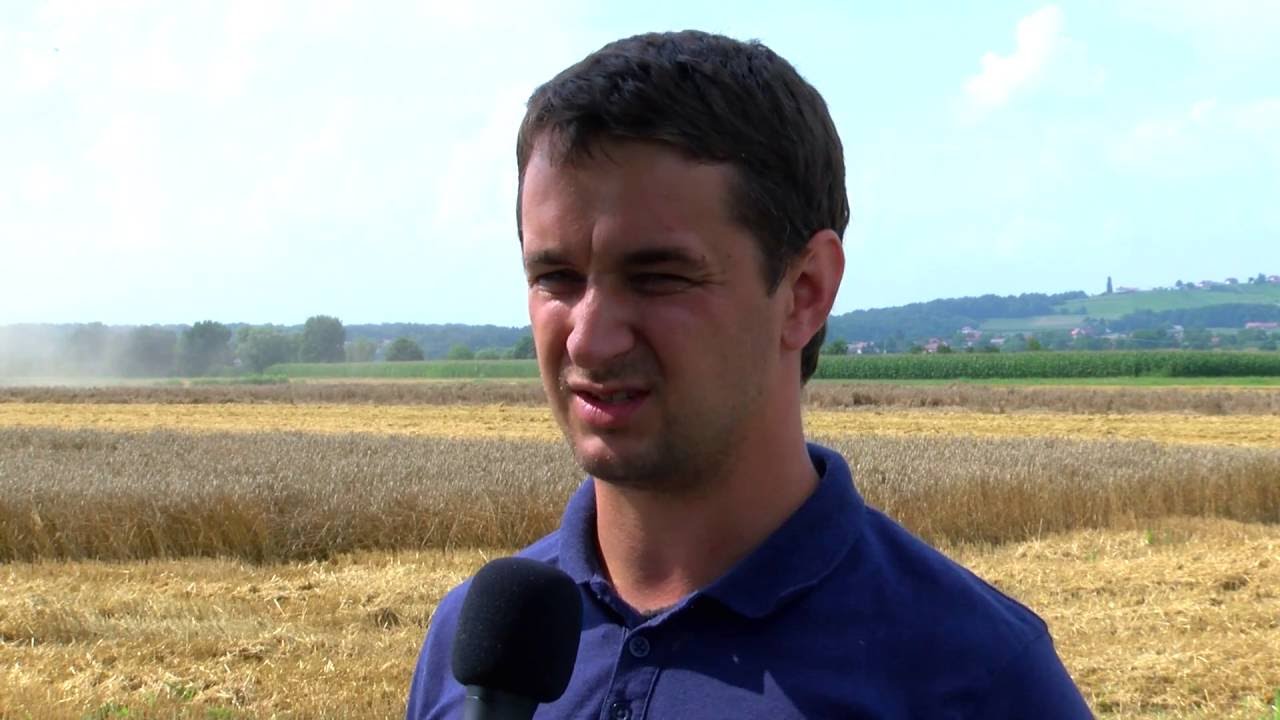 Kmetijska oddaja na KTV Ormož Med polji in vinogradi: Žetev 2016