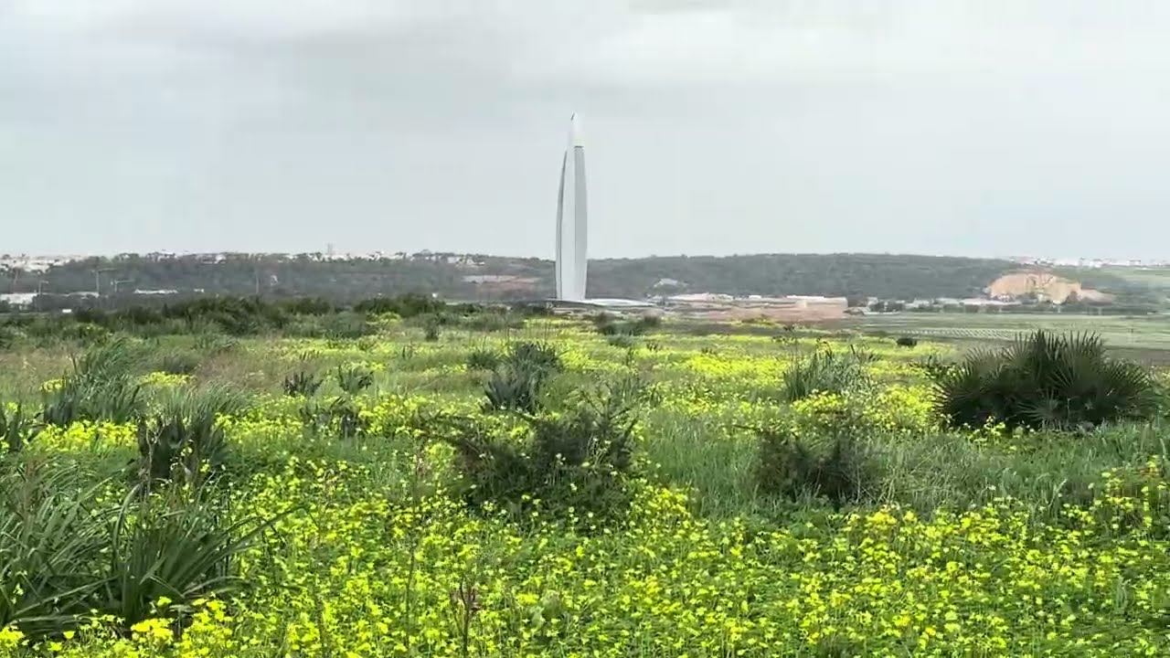 بين قصبة شالة وضريح سيدي بومينة |واد أبي رقراق بعد أمطار الخير وبرج محمد السادس يتألق في ربيع الرباط