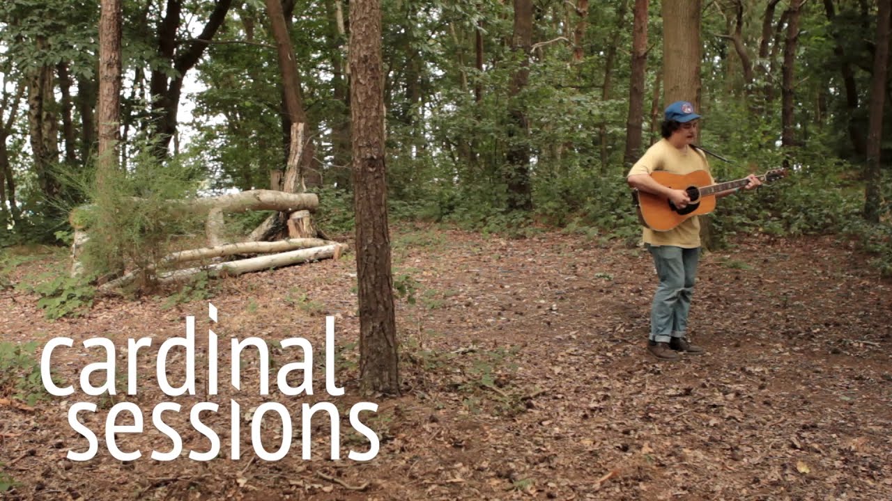 The Districts - Chlorine - CARDINAL SESSIONS (Haldern Pop Special)