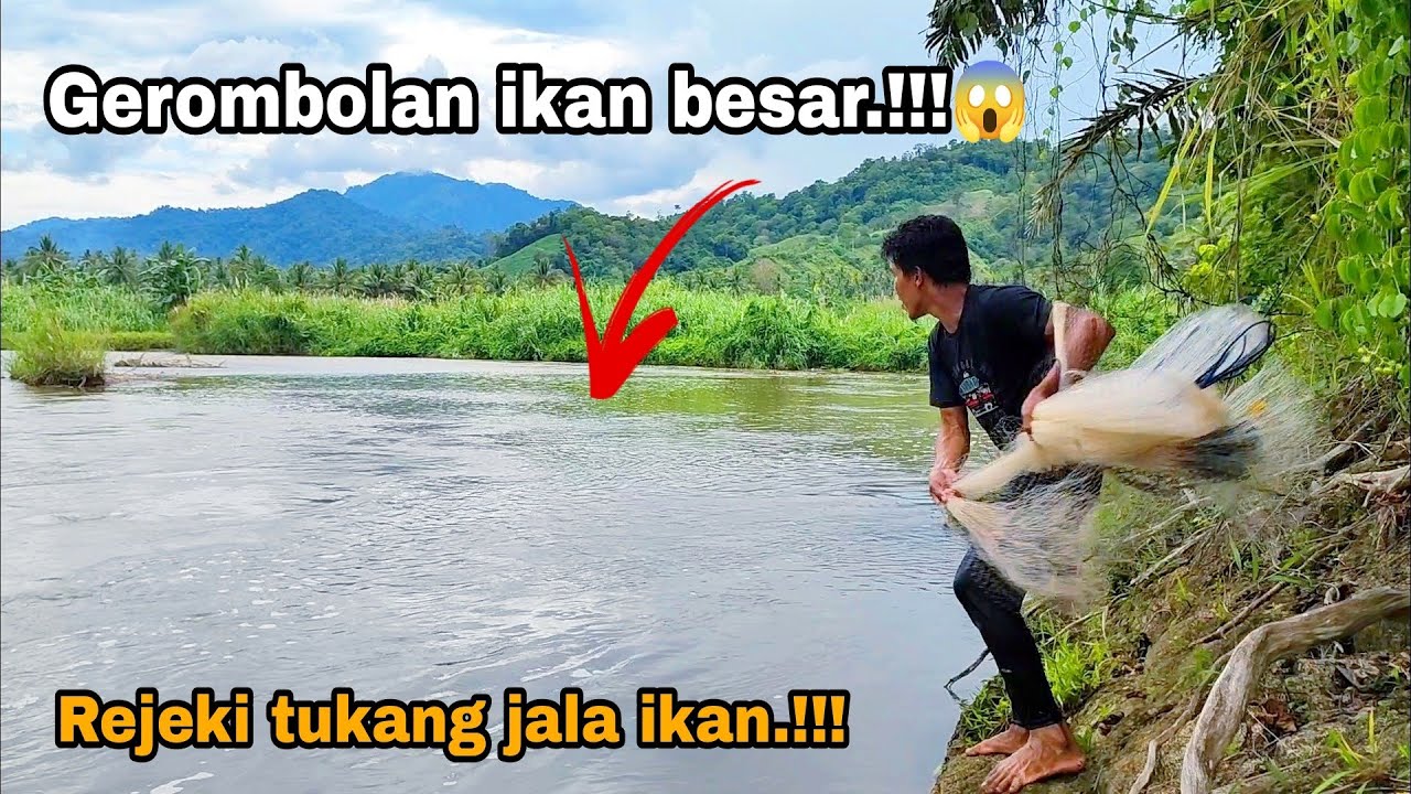 REKOR JALA IKAN DI SUNGAI DAPAT GEROMBOLAN IKAN BESAR,!! Amazing fishing nets video