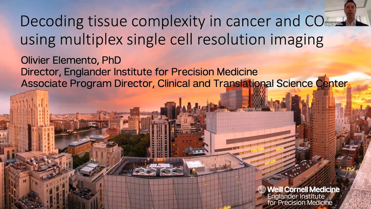 Decoding tissue complexity in cancer and COVID using multiplex single cell resolution imaging