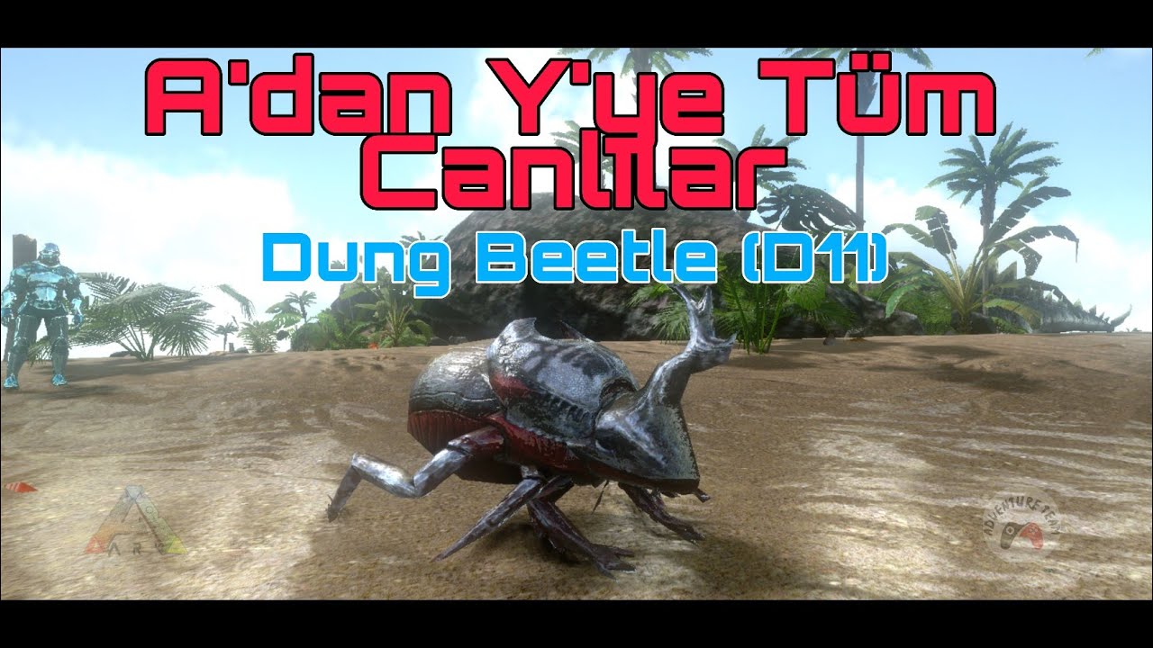 A'dan Y'ye Ark Mobile Canlıları | Dung Beetle (D11)