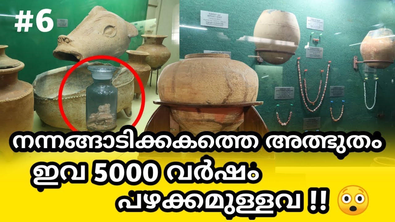 നന്നങ്ങാടിക്കകത്തെ അത്ഭുതം - 5000വർഷം പഴക്കമുള്ളവ😲Pazhassirajamuseum Huge collection of nannangadi