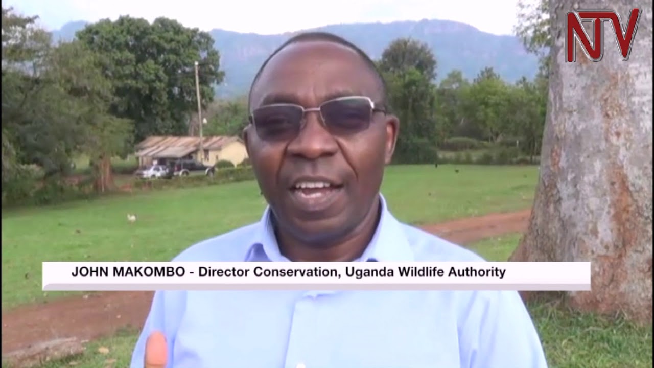 Report attributes landslides in Elgon sub region to encroachment