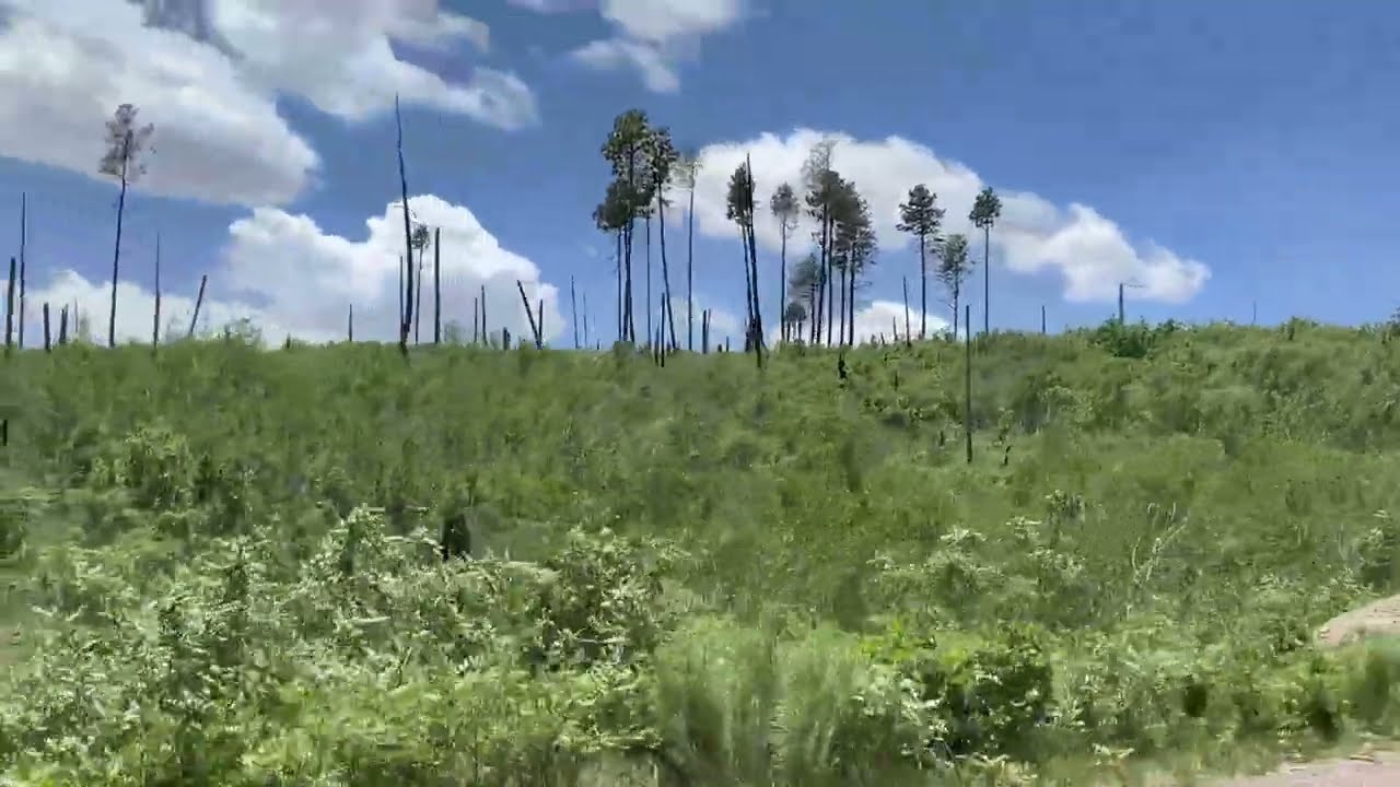 New Mexico Highway 4 West - Bandelier to Valles Caldera National Monument - June 2024