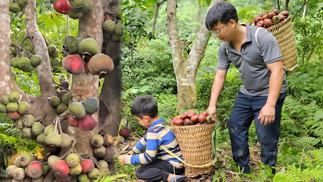 FULL VIDEO:45 Days build life-Harvest fruits,vegetables goes to the market sell.